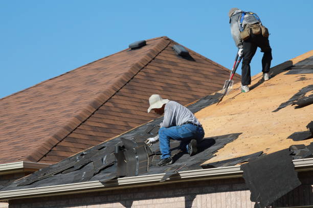 Best Roof Maintenance and Cleaning  in Libertyvle, IL